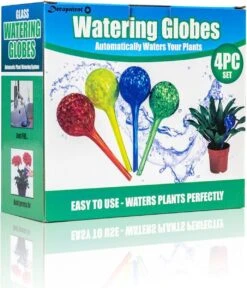 Merkloos Decopatent® 4 Stuks - Waterdruppelaar Voor Planten - Watergever - Glas - Waterbollen - Watergeefsysteem - Plantenbollen - Groen 14 Merkloos Decopatent® 4 Stuks - Waterdruppelaar Voor Planten - Watergever - Glas - Waterbollen - Watergeefsysteem - Plantenbollen - Groen -Gardena Winkel 1029x1200 6