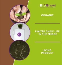 Stenema 100m² | Aaltjes Tegen Rouwvliegjes | Tegen Larven Van Rouwvliegen | Rouwvliegjes Bestrijden | Varenrouwmuggen | In Planten | 100% Natuurlijke Biologische Bestrijding -Gardena Winkel 1138x1200 11