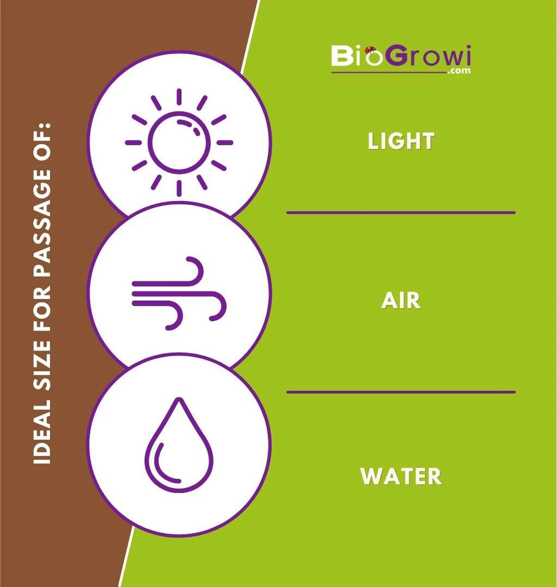Biogroei Nettect - Insectennet - Insectengaas Tegen Koolvliegen En Andere - 210 Cmx450 Cm 5 Biogroei Nettect - Insectennet - Insectengaas Tegen Koolvliegen En Andere - 210 Cmx450 Cm - Afbeelding 3