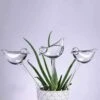 Waterdruppelaar Planten - Vorm Vogel - Set Van 3 Kunststof Druppelaars - 25cm Lengte - Genoeg Water Tijdens Je Vakantie -Gardena Winkel 1187x1200 7