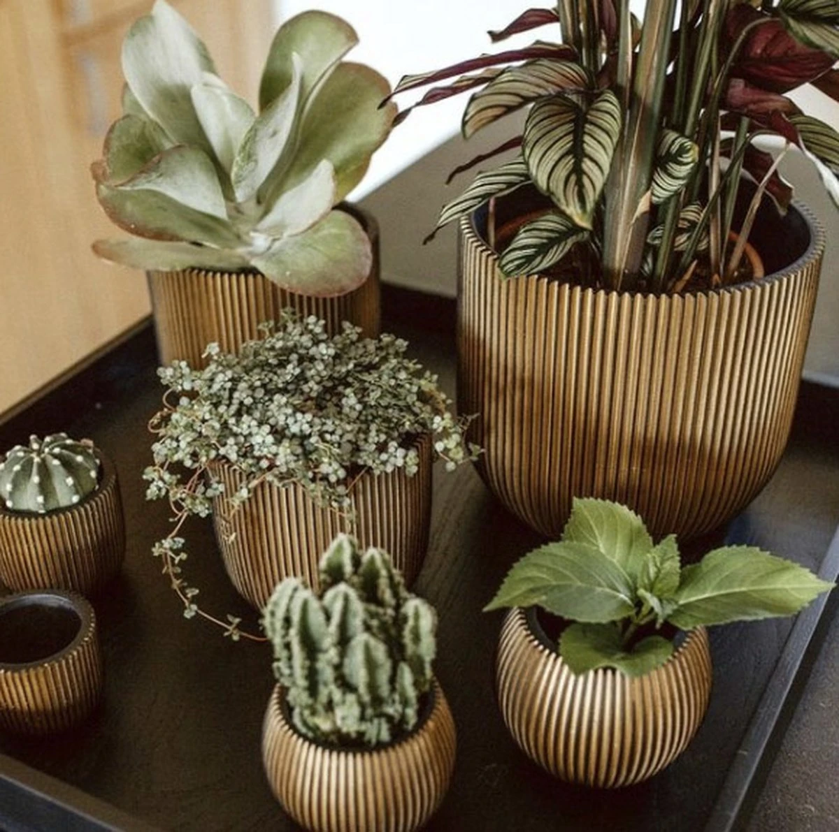 Capi Europe - Bloempot Bol Groove XL - 33x35 - Goud - Bloempot Voor Binnen - Opening ⌀28 - GVGB932 7 Capi Europe - Bloempot Bol Groove XL - 33x35 - Goud - Bloempot Voor Binnen - Opening ⌀28 - GVGB932 - Afbeelding 5