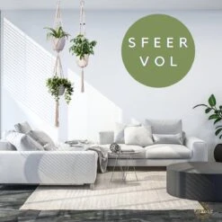 Plantenhanger Macrame Set Van 2 - Plantenhanger Met Ruimte Voor 3 Potten - Luxe Gevlochten Touw 100% Katoen - Duurzaam - Plantenbakken - Bloempotten - Macramé Stijl Hanger Voor Bloempotten - Hangpot - Fienosa 11 Plantenhanger Macrame Set Van 2 - Plantenhanger Met Ruimte Voor 3 Potten - Luxe Gevlochten Touw 100% Katoen - Duurzaam - Plantenbakken - Bloempotten - Macramé Stijl Hanger Voor Bloempotten - Hangpot - Fienosa -Gardena Winkel 1200x1200 2385