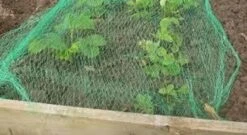 Merkloos Extra Sterk Groen Vogelnet – 5 X 4 Meter – Maaswijdte 30 Mm | Tuinnet Vogels 15 Merkloos Extra Sterk Groen Vogelnet – 5 X 4 Meter – Maaswijdte 30 Mm | Tuinnet Vogels -Gardena Winkel 1200x655 2