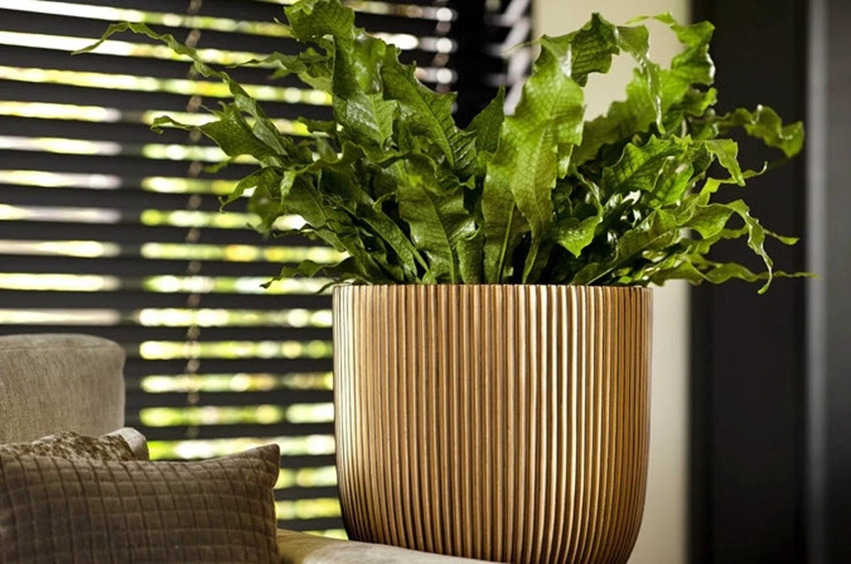 Capi Europe - Bloempot Bol Groove XL - 33x35 - Goud - Bloempot Voor Binnen - Opening ⌀28 - GVGB932 6 Capi Europe - Bloempot Bol Groove XL - 33x35 - Goud - Bloempot Voor Binnen - Opening ⌀28 - GVGB932 - Afbeelding 4