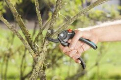 GARDENA - Comfort A/M Aambeeld - Snoeischaar - Ø 23mm 10 GARDENA - Comfort A/M Aambeeld - Snoeischaar - Ø 23mm -Gardena Winkel 1200x799 214