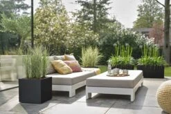 Elho Vivo Next Vierkant 30 - Plantenbak Voor Binnen & Buiten - Ø 29.5 X H 29.5 Cm - Zwart/Living Black 25 Elho Vivo Next Vierkant 30 - Plantenbak Voor Binnen & Buiten - Ø 29.5 X H 29.5 Cm - Zwart/Living Black -Gardena Winkel 1200x800 467