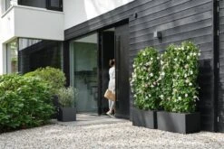 Elho Vivo Next Vierkant 30 - Plantenbak Voor Binnen & Buiten - Ø 29.5 X H 29.5 Cm - Zwart/Living Black 32 Elho Vivo Next Vierkant 30 - Plantenbak Voor Binnen & Buiten - Ø 29.5 X H 29.5 Cm - Zwart/Living Black -Gardena Winkel 1200x800 468