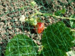 Merkloos Extra Sterk Groen Vogelnet – 5 X 4 Meter – Maaswijdte 30 Mm | Tuinnet Vogels 12 Merkloos Extra Sterk Groen Vogelnet – 5 X 4 Meter – Maaswijdte 30 Mm | Tuinnet Vogels -Gardena Winkel 1200x900 91