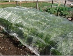 Biogroei Nettect - Insectennet - Insectengaas Tegen Koolvliegen En Andere - 210 Cmx450 Cm 19 Biogroei Nettect - Insectennet - Insectengaas Tegen Koolvliegen En Andere - 210 Cmx450 Cm -Gardena Winkel 1200x914 3
