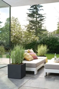 Elho Vivo Next Vierkant 30 - Plantenbak Voor Binnen & Buiten - Ø 29.5 X H 29.5 Cm - Zwart/Living Black 28 Elho Vivo Next Vierkant 30 - Plantenbak Voor Binnen & Buiten - Ø 29.5 X H 29.5 Cm - Zwart/Living Black -Gardena Winkel 800x1200 149