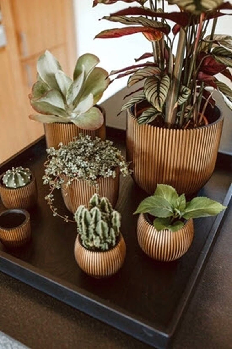 Capi Europe - Bloempot Bol Groove XL - 33x35 - Goud - Bloempot Voor Binnen - Opening ⌀28 - GVGB932 4 Capi Europe - Bloempot Bol Groove XL - 33x35 - Goud - Bloempot Voor Binnen - Opening ⌀28 - GVGB932 - Afbeelding 2