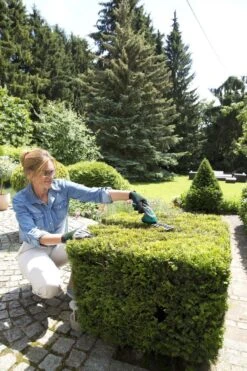 Bosch ISIO Gen III Accu Buxusschaar + Grasschaar 10 Bosch ISIO Gen III Accu Buxusschaar + Grasschaar -Gardena Winkel 800x1200 27