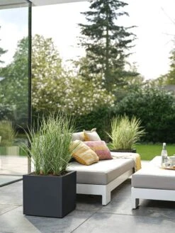 Elho Vivo Next Vierkant 30 - Plantenbak Voor Binnen & Buiten - Ø 29.5 X H 29.5 Cm - Zwart/Living Black 29 Elho Vivo Next Vierkant 30 - Plantenbak Voor Binnen & Buiten - Ø 29.5 X H 29.5 Cm - Zwart/Living Black -Gardena Winkel 900x1200 30